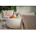 IKARIA - Cream White IKARIA - Cream White